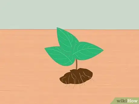 Image titled Measure Growth Rate of Plants Step 10