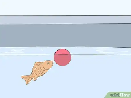 Image titled Enjoy Having Pet Fish Step 10