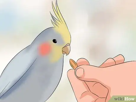 Image titled Train a Cockatiel to Talk Step 7