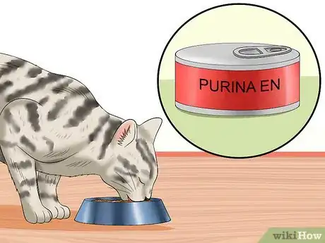 Image titled Treat Feline Panleukopenia (Distemper) Step 13