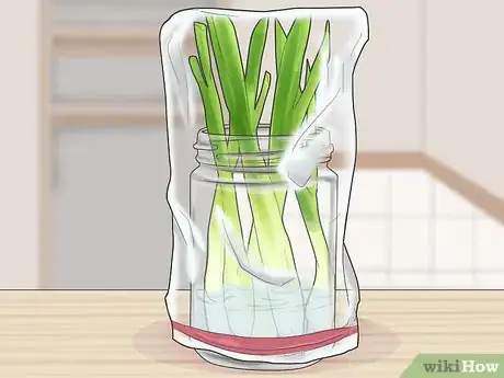 Image titled Store Scallions Step 3