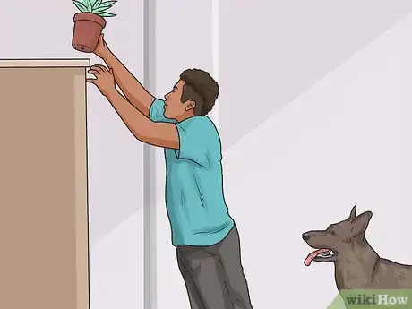 Image titled Stop Your Dog from Eating Your Plants Step 1