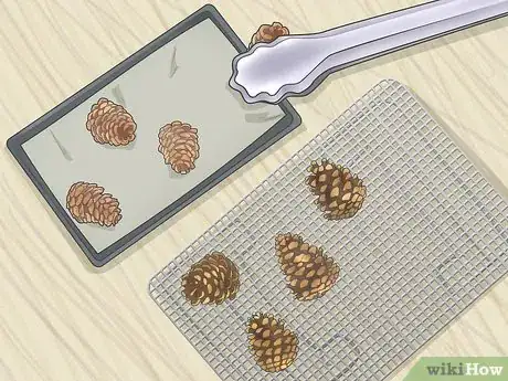 Image titled Preserve Pinecones Step 9