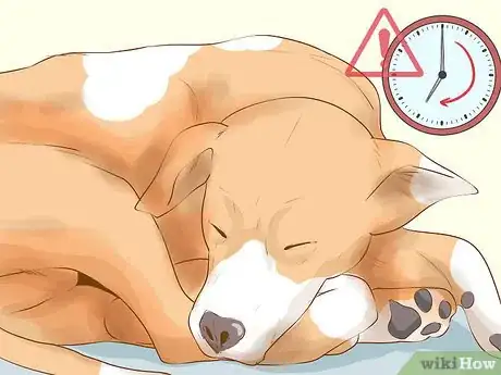 Image titled Determine if Your Dog Is Overweight Step 4