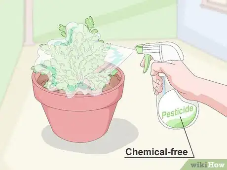 Image titled Keep Your Plants from Dying Step 11