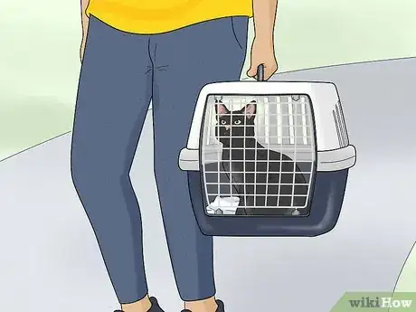 Image titled Travel Train Your Cat Step 12