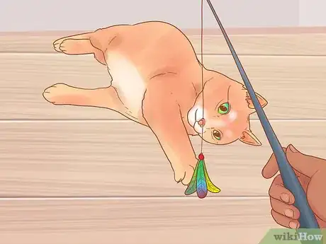 Image titled Prevent Cats from Eating Plants Step 10