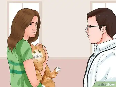 Image titled Get Your Cat to Stop Hissing Step 4