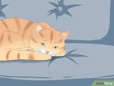 Image titled Calm a Panting Cat Step 10