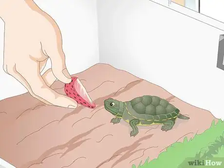 Image titled Feed Your Turtle if It is Refusing to Eat Step 7