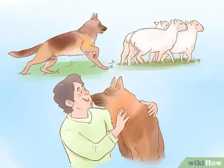 Image titled Choose a German Shepherd Puppy Step 2