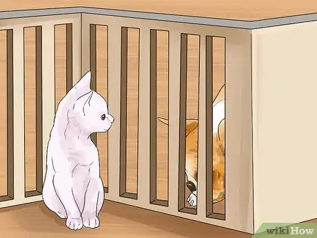 Image titled Make Your Dog Like Your Cat Step 13