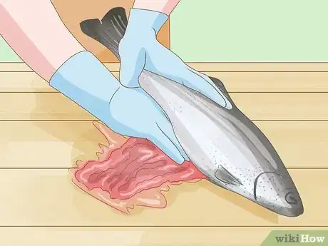 Image titled Clean a Fish Step 4