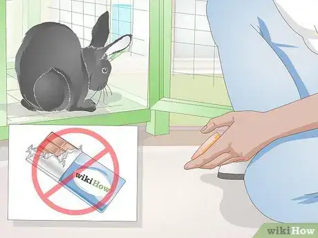 Image titled Earn Your Rabbit's Trust Step 4