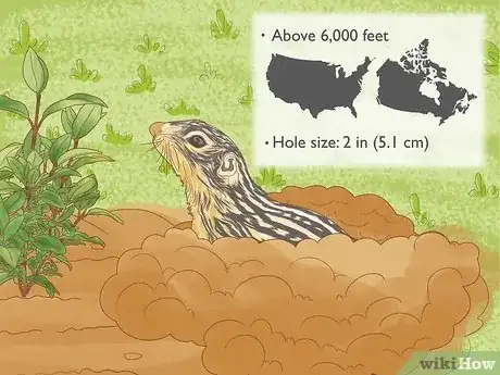 Image titled How Do You Identify Burrowing Animal Holes Step 7