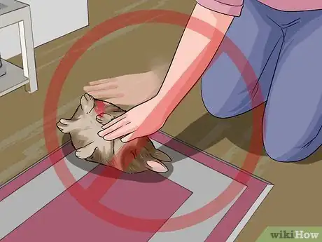 Image titled Teach a Rabbit Not to Scratch Step 7