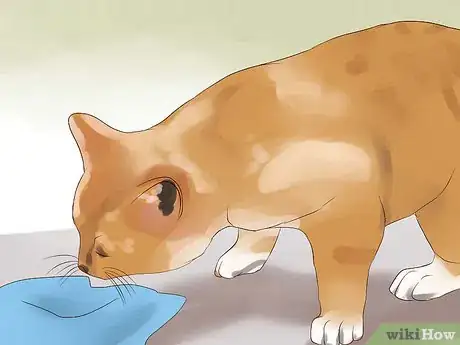 Image titled Introduce a New Cat to the Family Step 13