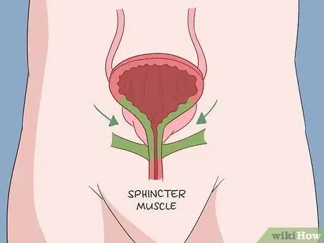 Image titled Strengthen Bowel Muscles Step 9