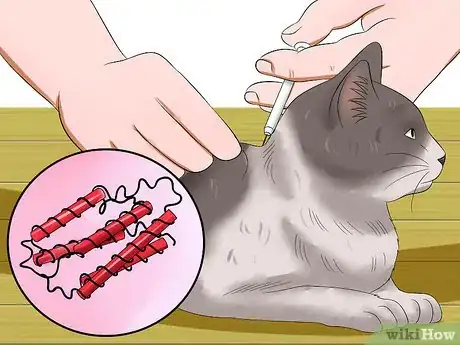 Image titled Treat Feline Panleukopenia (Distemper) Step 11