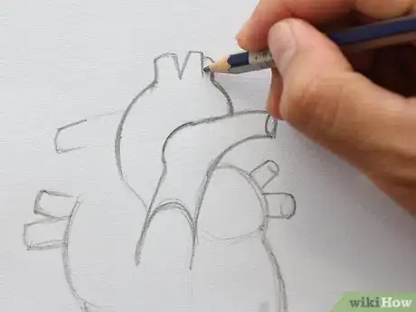 Image titled Draw the Internal Structure of the Heart Step 8