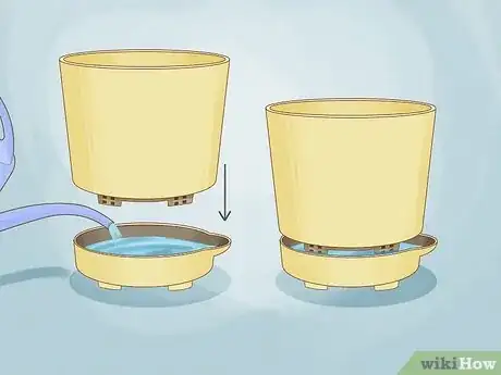 Image titled Use Self Watering Pots Step 1