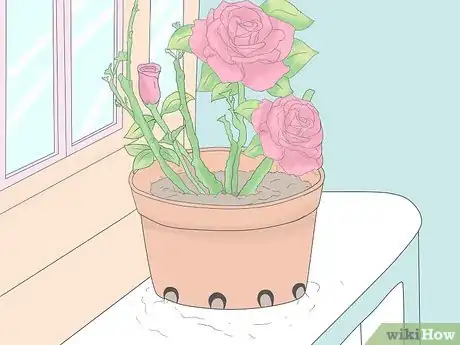 Image titled Plant Roses Step 14