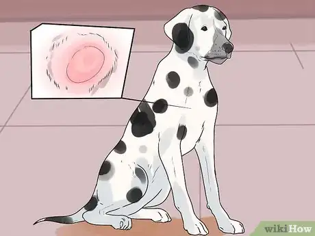 Image titled Treat Hot Spots in Dogs Step 3