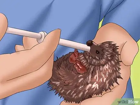 Image titled Care for a Baby Hedgehog Step 20