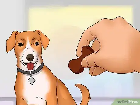 Image titled Get a Dog to Listen Step 3