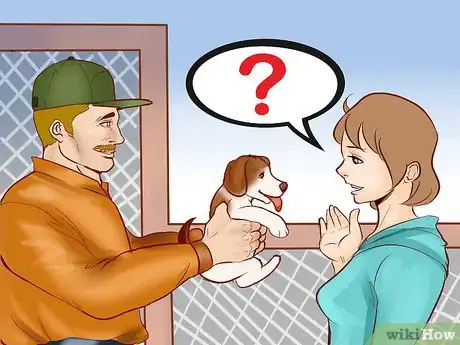 Image titled Identify a Beagle Step 11