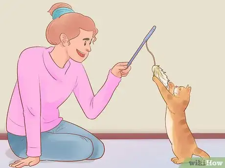 Image titled Get Help for a Cat Hit by a Car Step 10