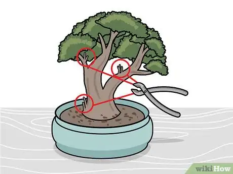 Image titled Prune a Bonsai Tree Step 8