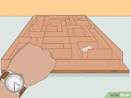 Image titled Build a Hamster Maze Step 17