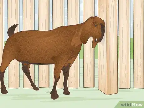 Image titled Raise Goats Step 18