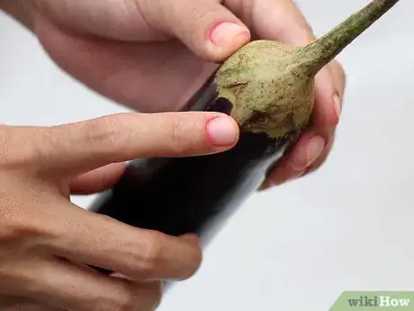 Image titled Buy Eggplant Step 4