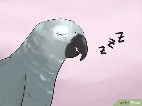 Image titled Know if an African Grey Parrot Is Right for You Step 9