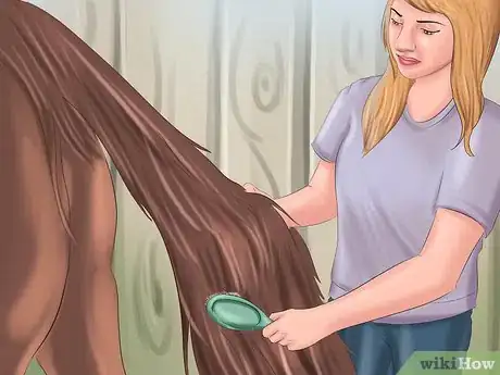 Image titled Get Your Horse to Trust and Respect You Step 2