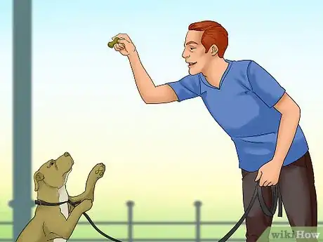 Image titled Get a Dog to Listen Step 8