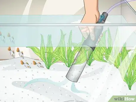 Image titled Clean a Planted Fish Tank Step 5