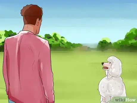 Image titled Train a Toy Poodle Step 11