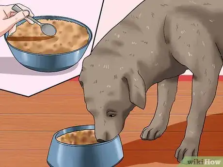 Image titled Help Your Dog Lose Weight Step 7