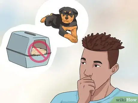 Image titled Bring a Dog Into the United States Step 6