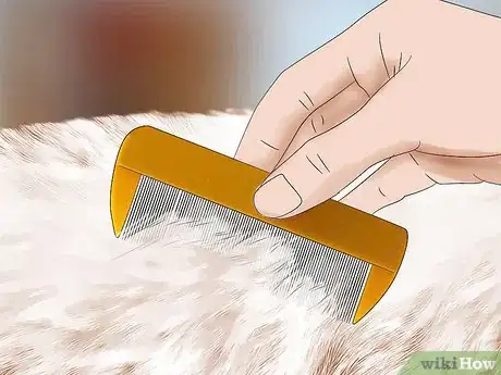 Image titled Get Rid of Fleas Naturally Step 8