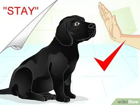 Image titled Raise a Dog Step 22