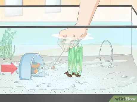 Image titled Train Your Fish to Do Tricks Step 9