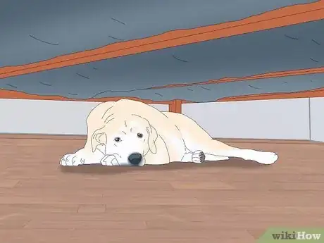 Image titled Why Does My Dog Sleep Under My Bed Step 2