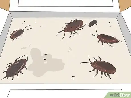 Image titled Get Rid of Roaches Step 1