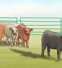 Make a Fence With Cattle Panels