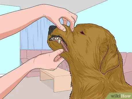 Image titled Feed a Sick Dog Step 15