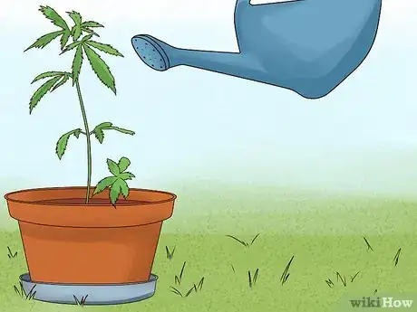 Image titled Get Medical Marijuana Step 13